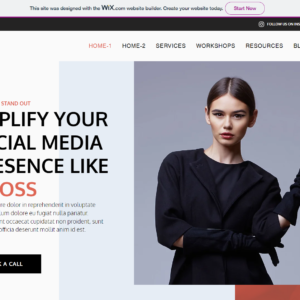 Nfluence: Social Media Influencing Website Template