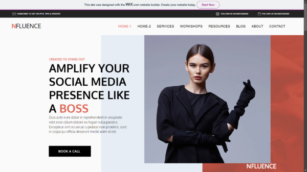 Nfluence: Social Media Influencing Website Template